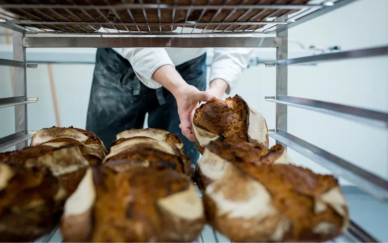 Levain